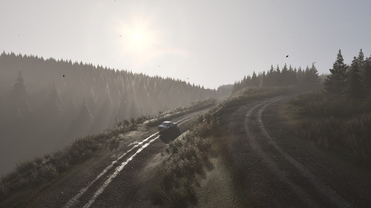 https://images.2game.com/screenshot/assetto-corsa-rally-buy-cdkey-full-8.jpg
